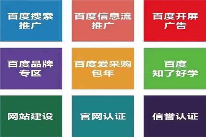 成功运用百度竞价代理，实现品牌快速崛起